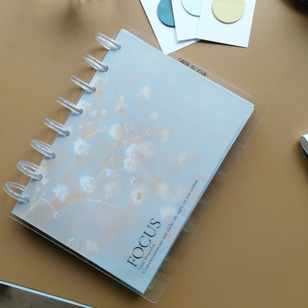 Set de 6 intercalaires transparents onglets sur le côté