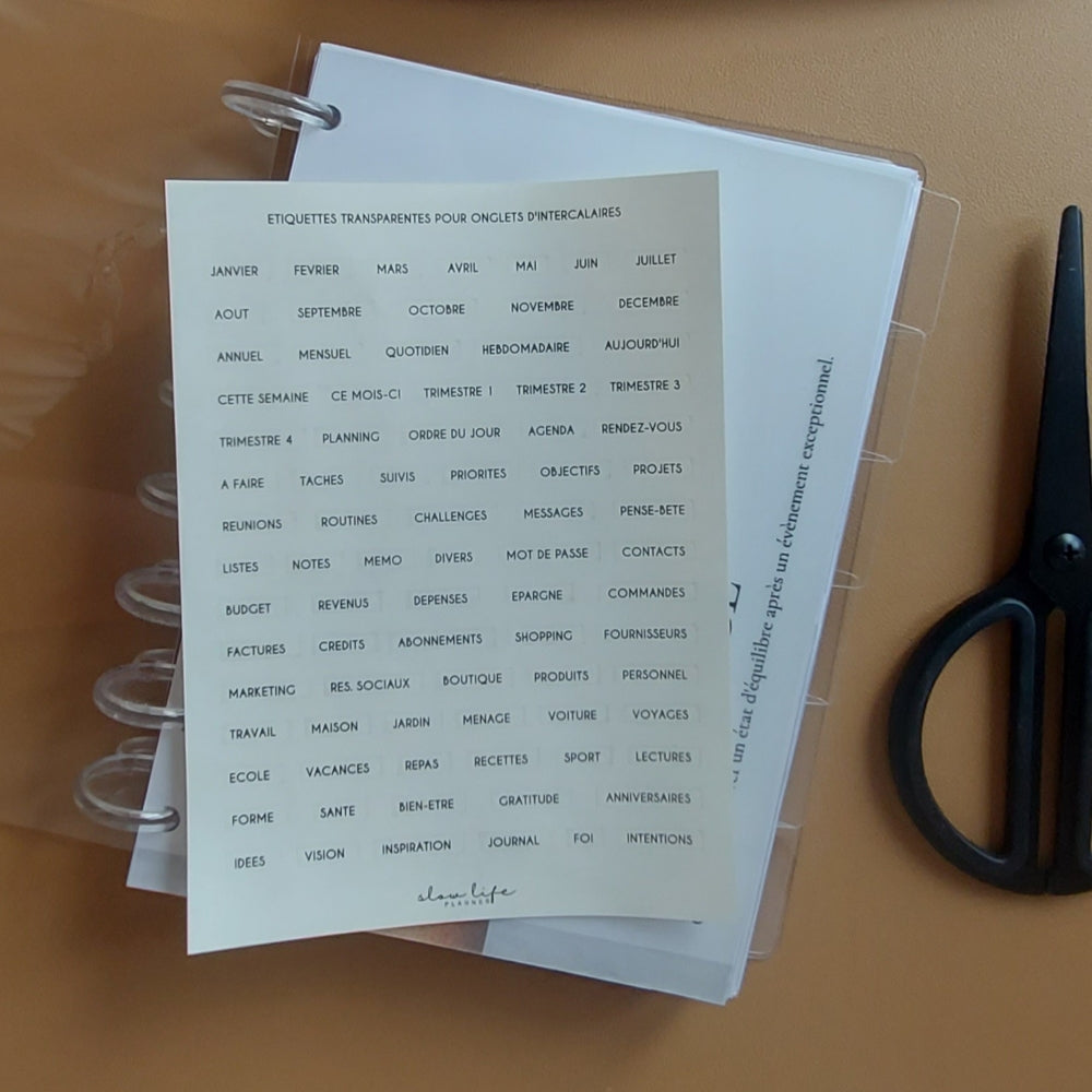 Set de 6 intercalaires transparents onglets sur le côté