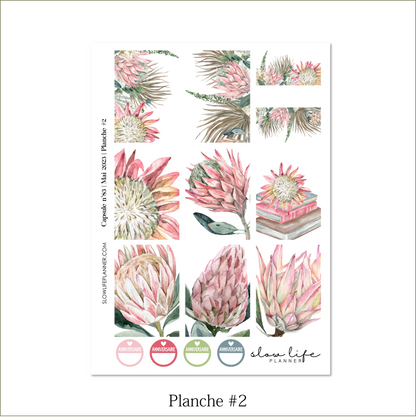 Stickers Box | Capsule n°83 / Mai 2023