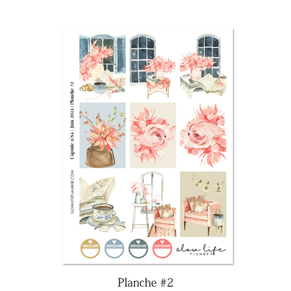 Stickers box de juin 2023 - Set 5 planches de stickers