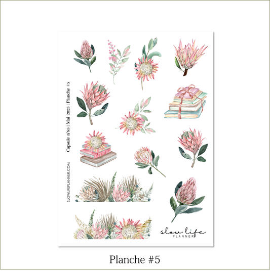 Stickers Box | Capsule n°83 / Mai 2023