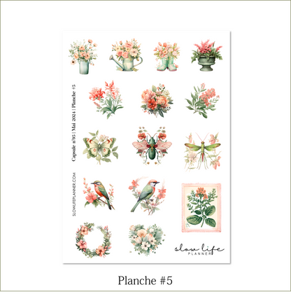 Stickers Box | Capsule n°95 / Mai 2024