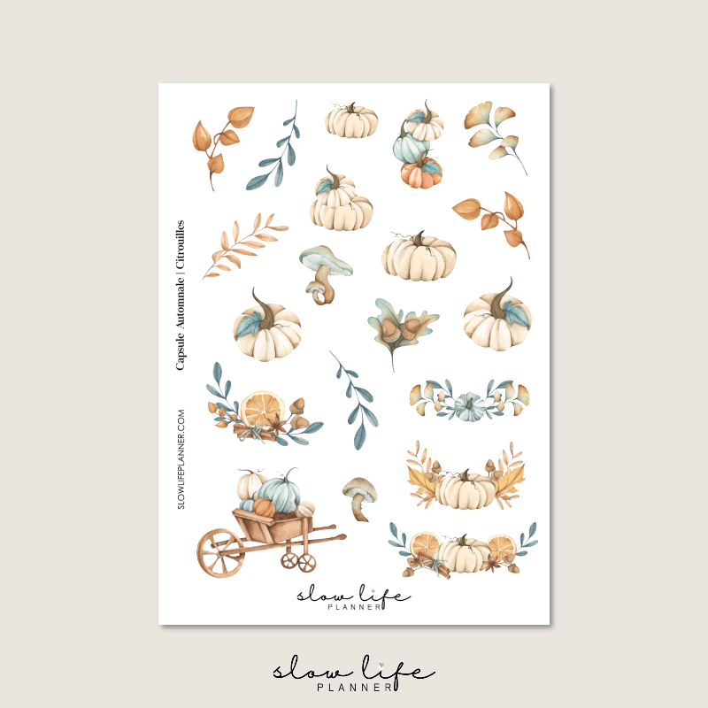 Capsule Automnale / Citrouilles