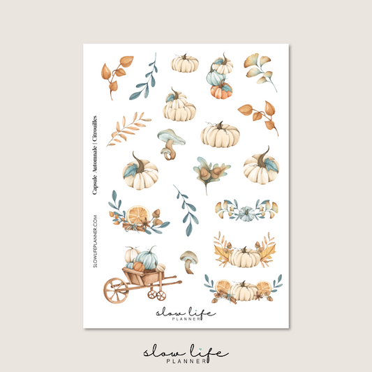 Capsule Automnale / Citrouilles