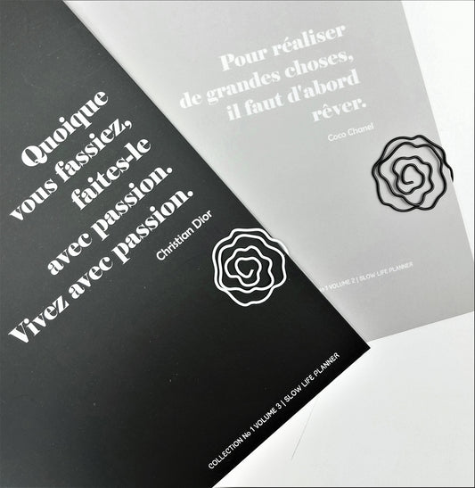 Set de 2 paperclips magnolia