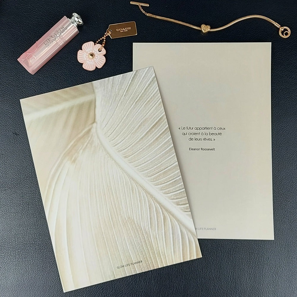 Set de 2 dashboards de couverture Feuille blanche