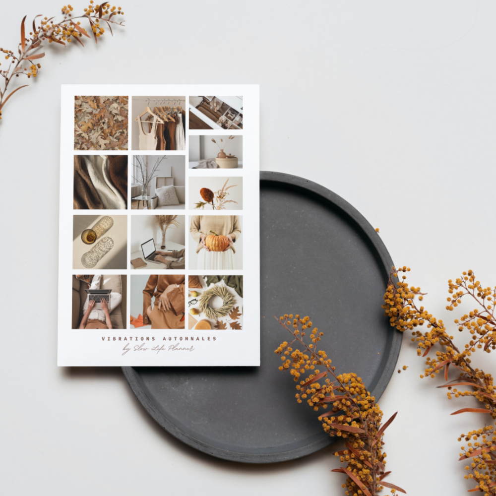Freebie dashboard vibrations automnales