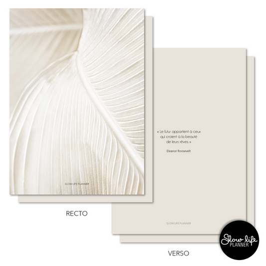 Set de 2 dashboards de couverture Feuille blanche